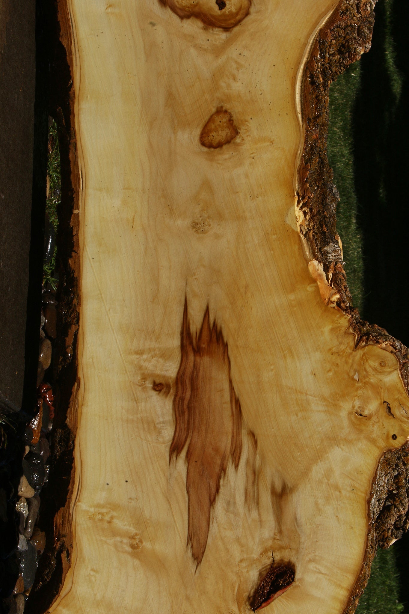 Figured Box Elder Live Edge Slab
