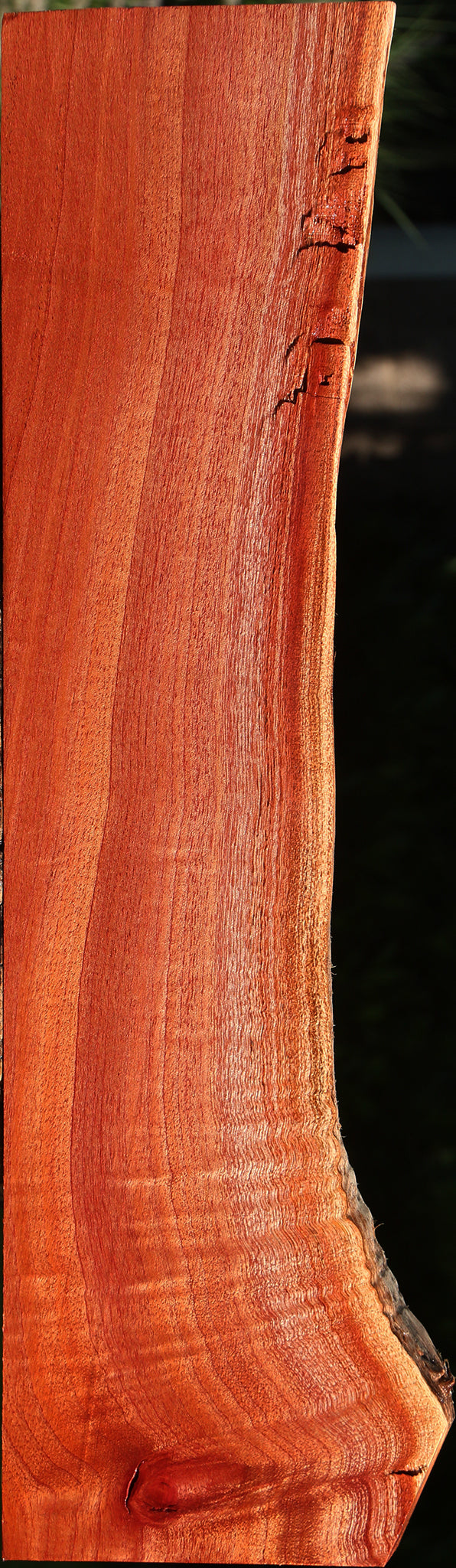 Figured Brazilian Pepperwood Live Edge Lumber