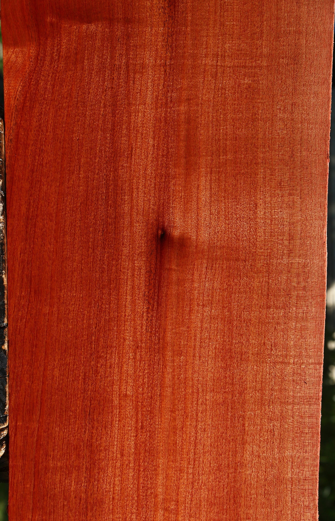 Figured Quartersawn Brazilian Pepperwood Lumber