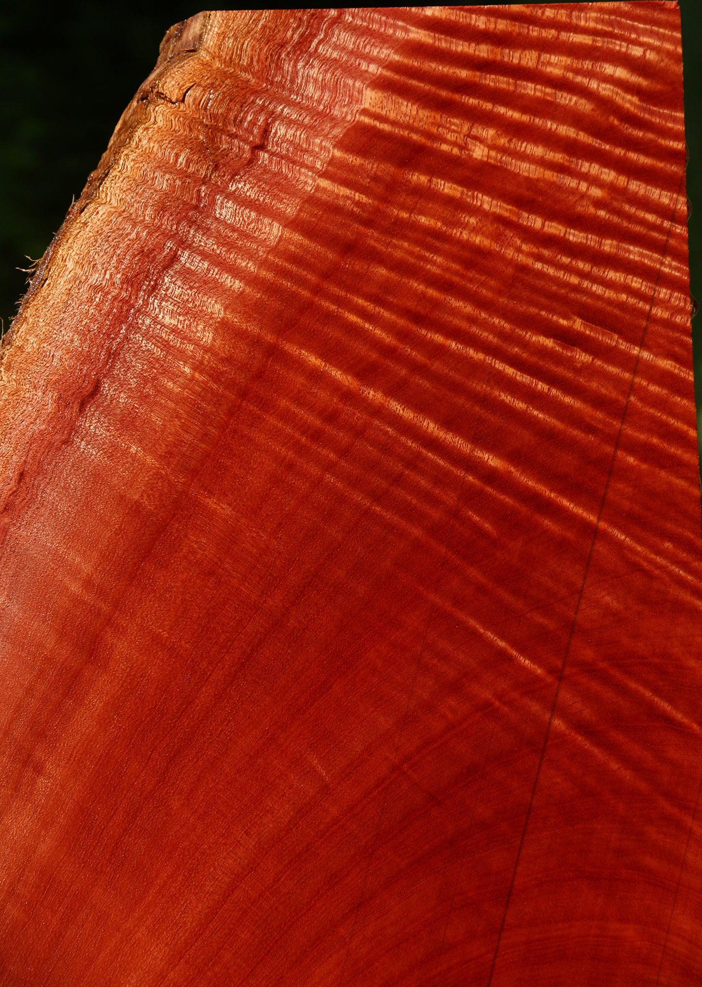 Extra Fancy Brazilian Pepperwood Live Edge Mini Slab