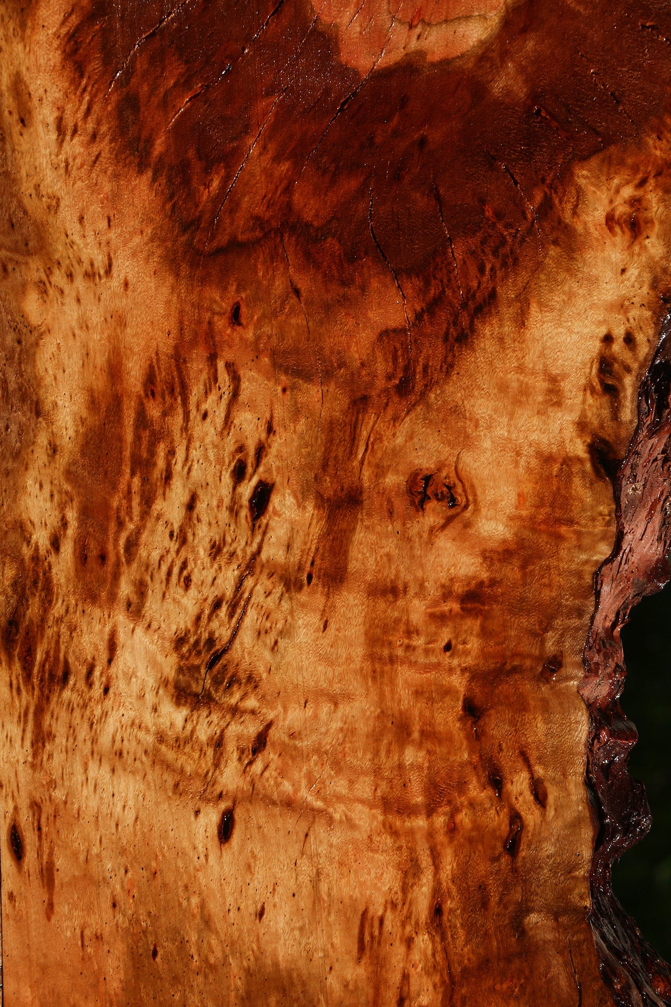 Figured Rustic Brazilian Pepperwood Live Edge Mini Slab
