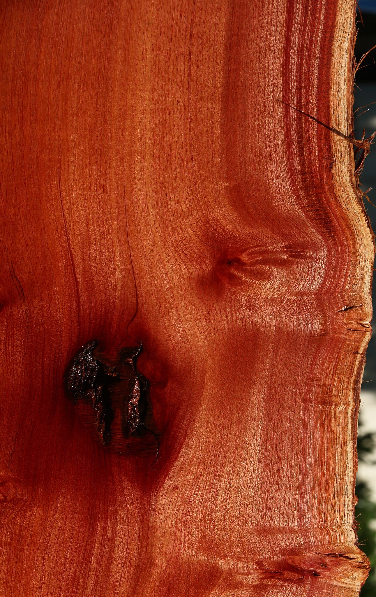 Figured Rustic Brazilian Pepperwood Live Edge Lumber