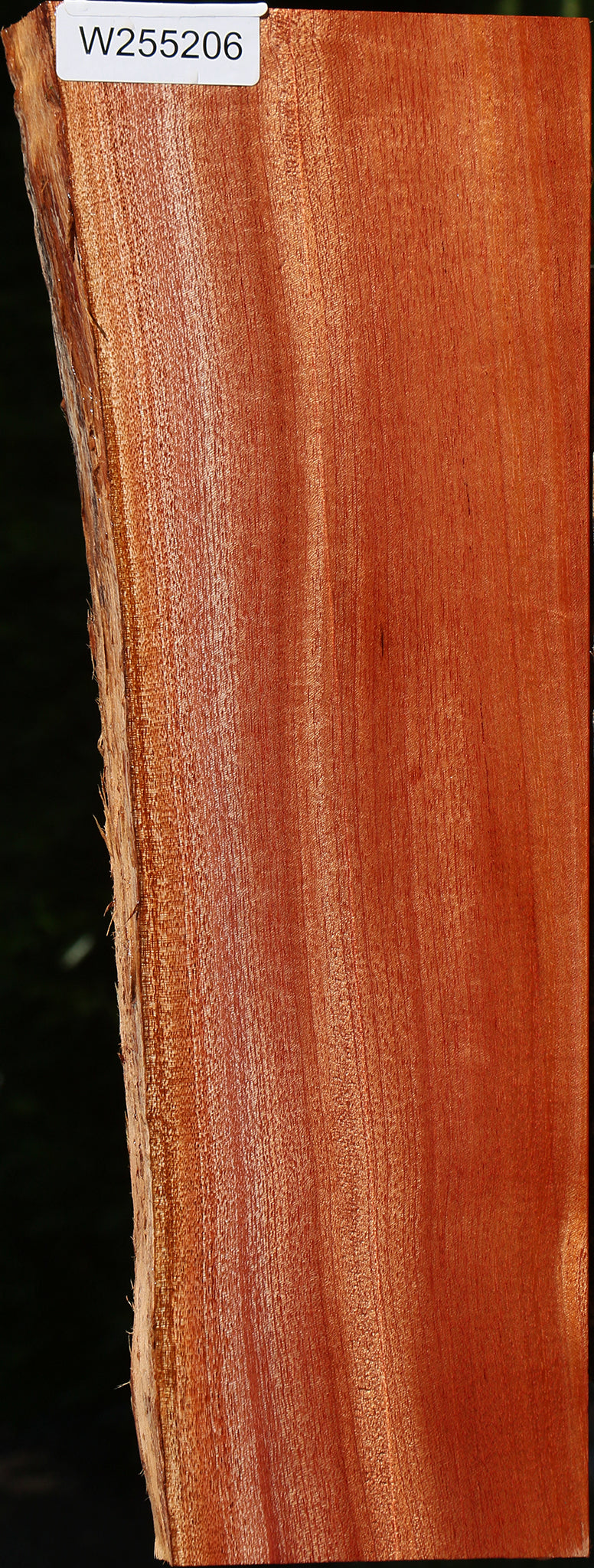 Figured Quartersawn Brazilian Pepperwood Live Edge Lumber