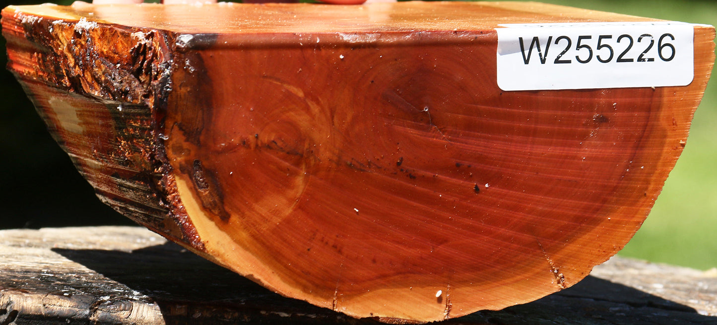 Oregon Ironwood Half Log