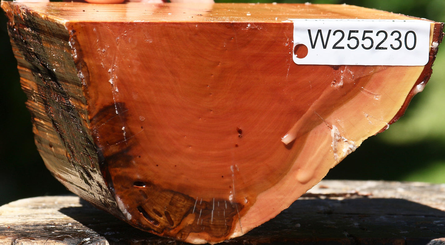 Oregon Ironwood Half Log