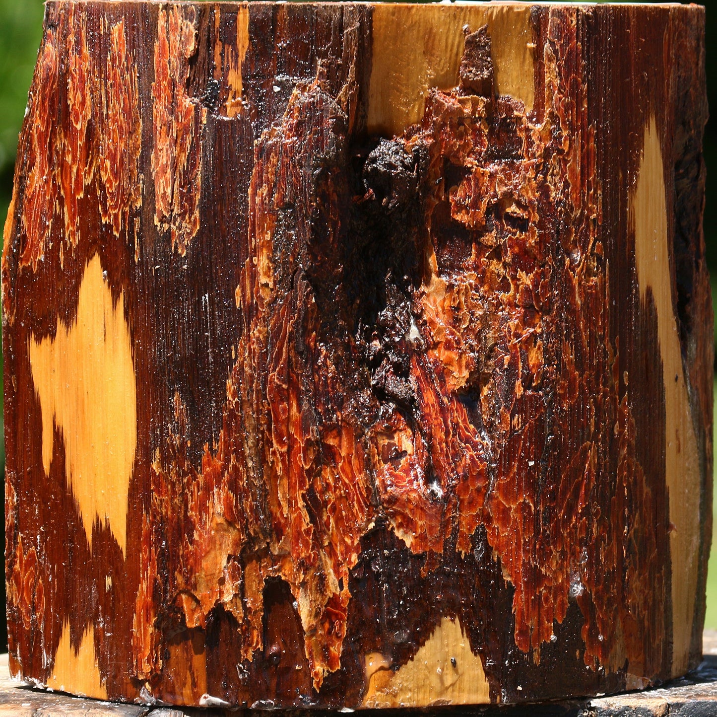 Oregon Ironwood Half Log
