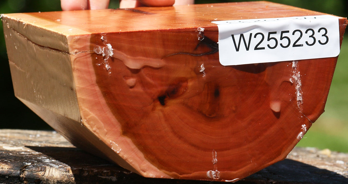 Oregon Ironwood Half Log