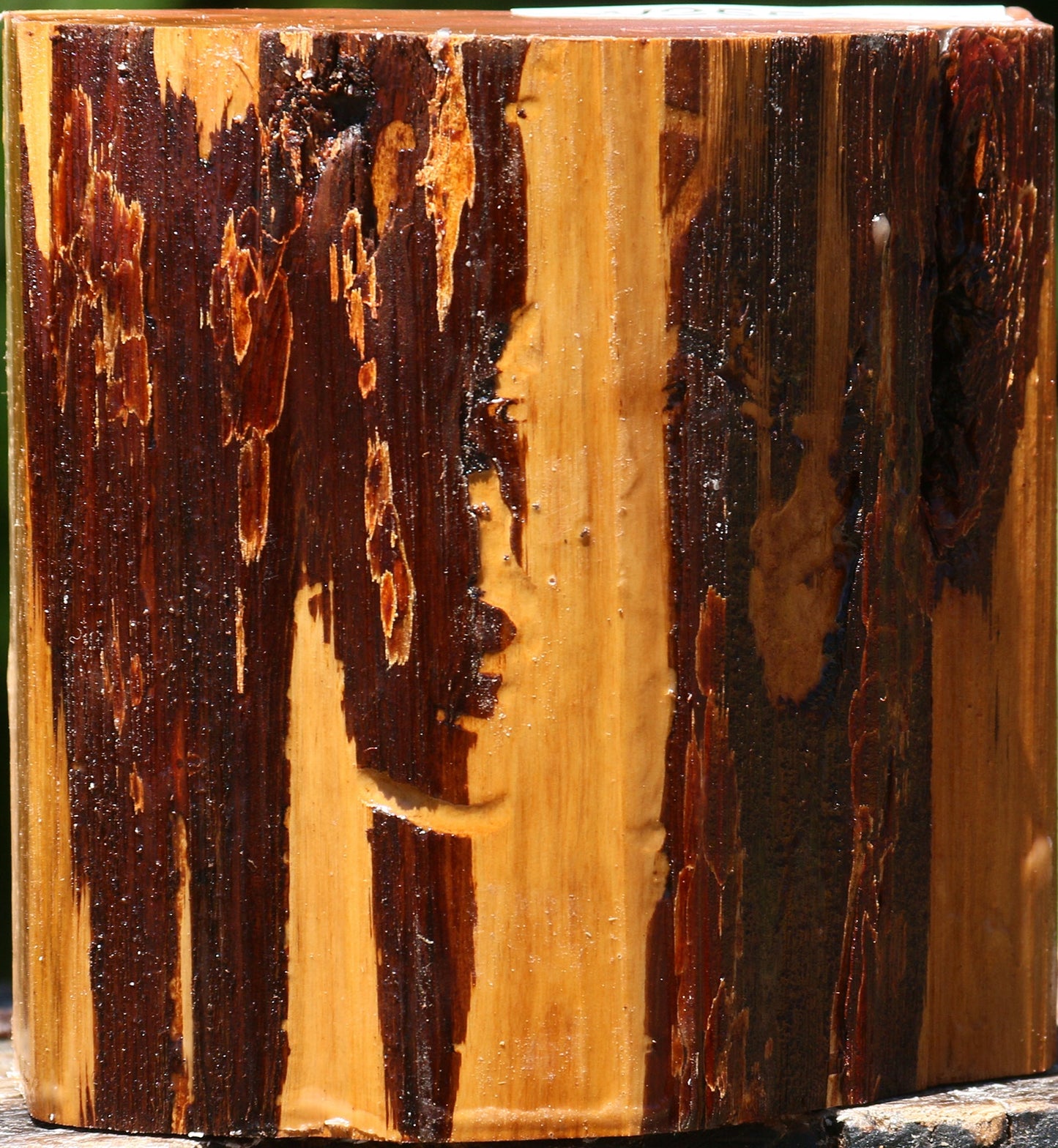 Oregon Ironwood Half Log