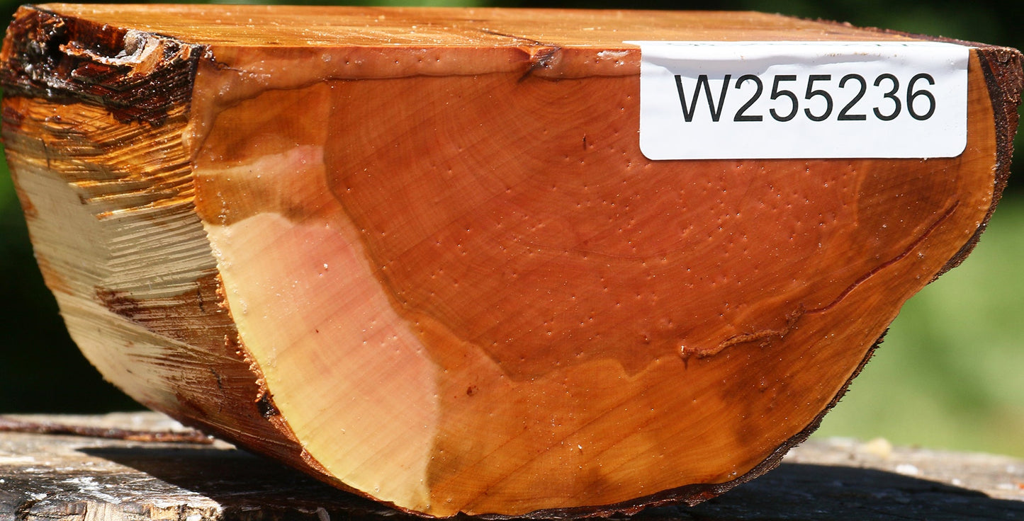 Oregon Ironwood Half Log