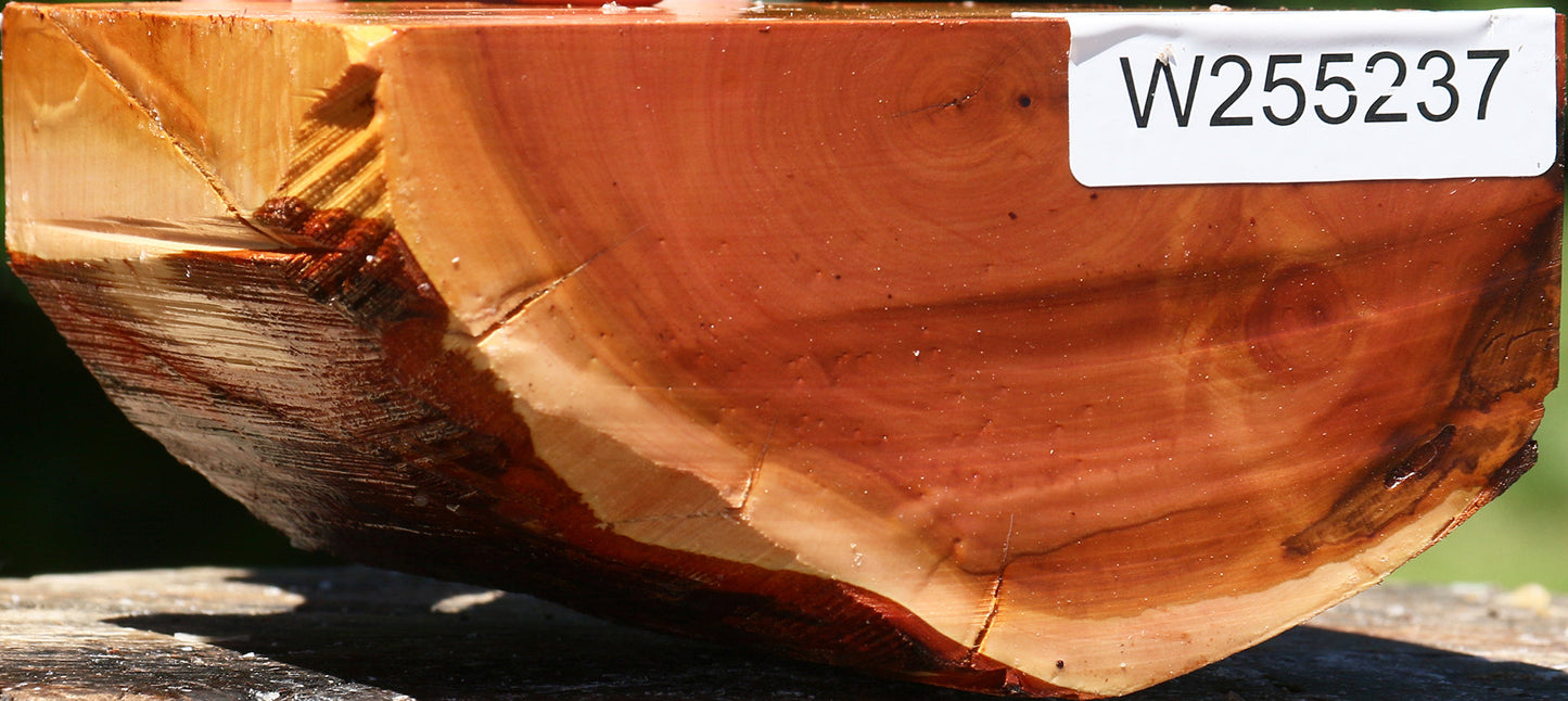 Oregon Ironwood Half Log