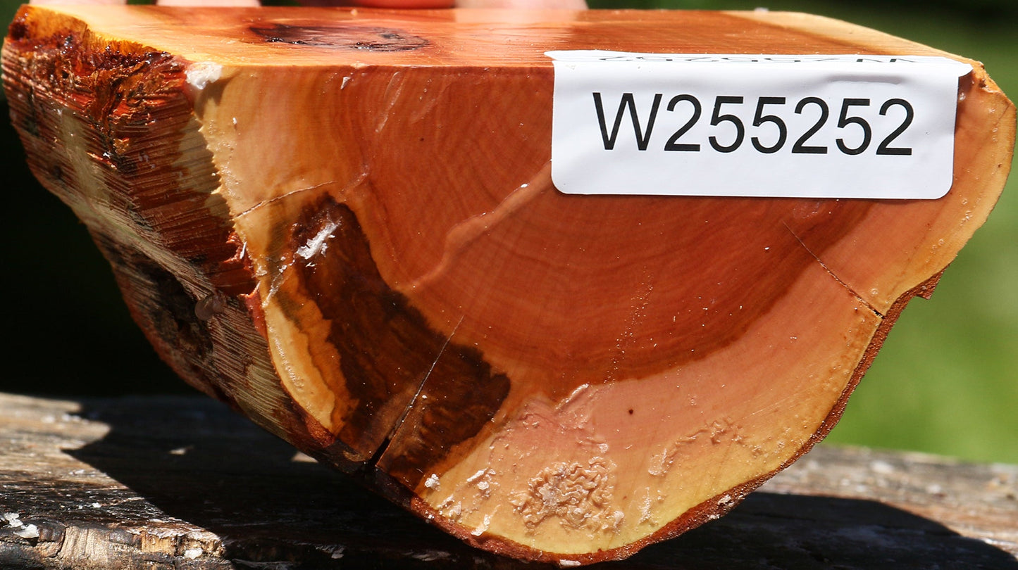 Oregon Ironwood Half Log