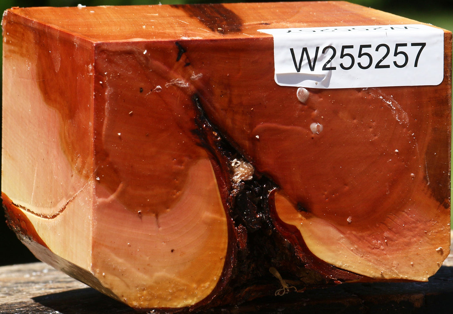 Rustic Oregon Ironwood Live Edge Bowl Blank