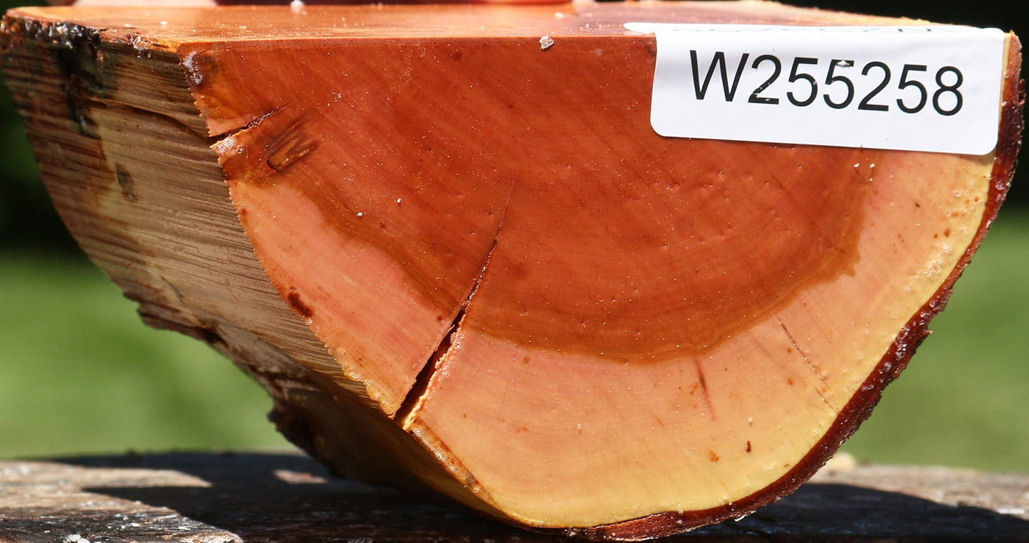 Oregon Ironwood Half Log