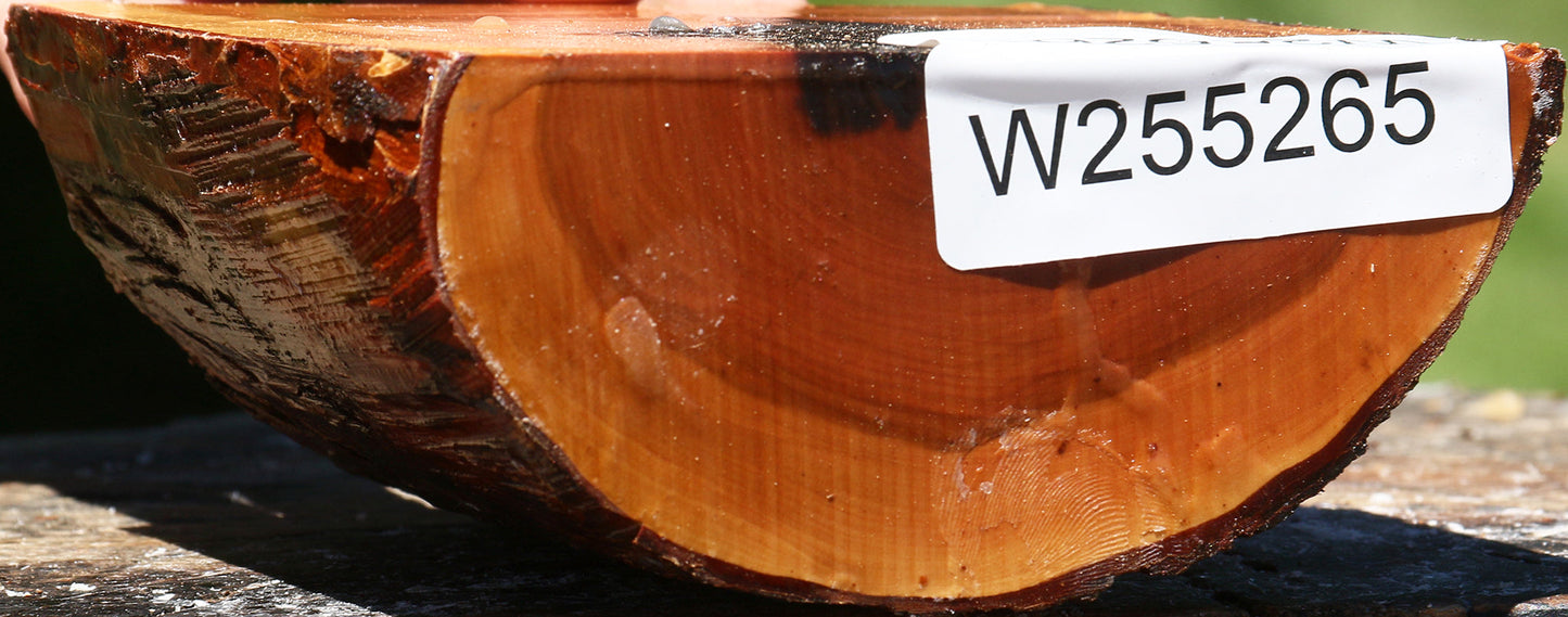 Rustic Oregon Ironwood Half Log