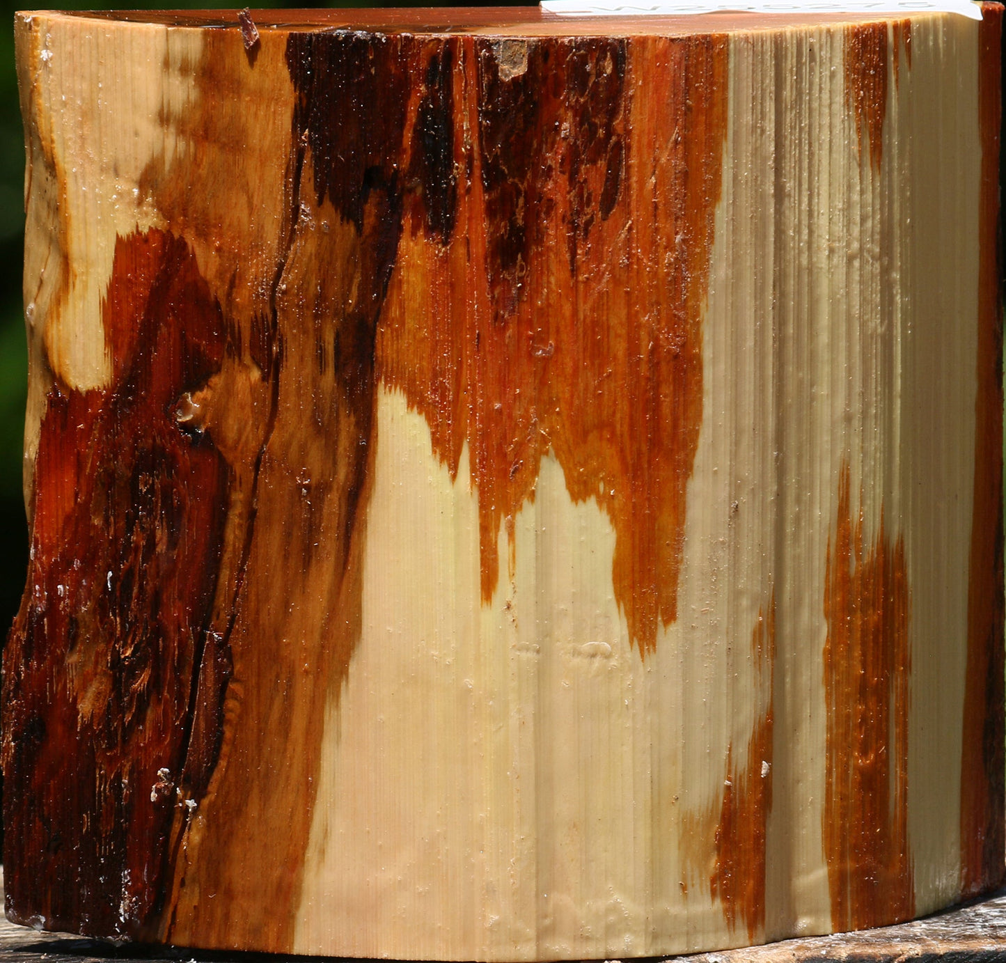 Oregon Ironwood Half Log