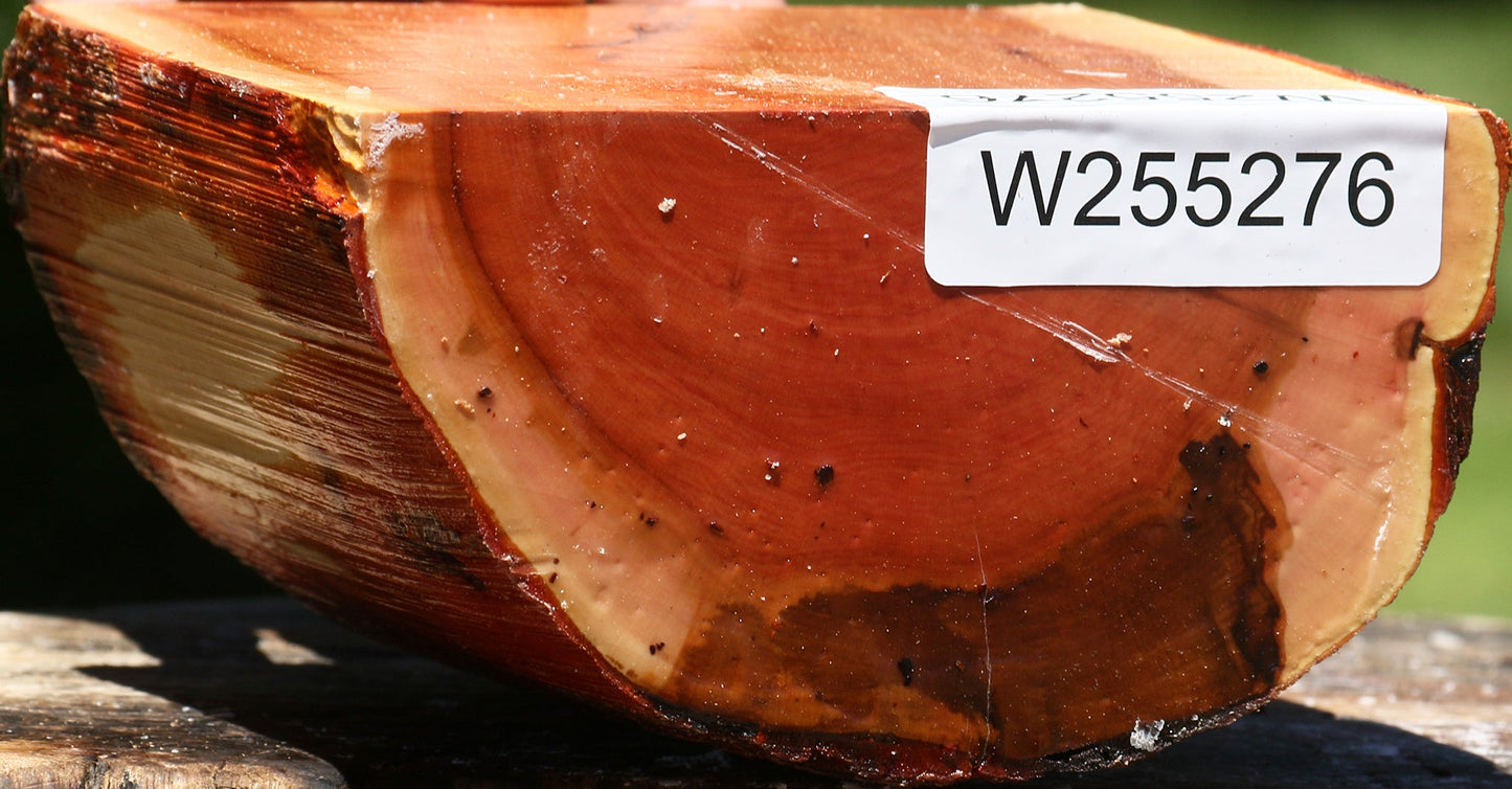 Rustic Oregon Ironwood Half Log