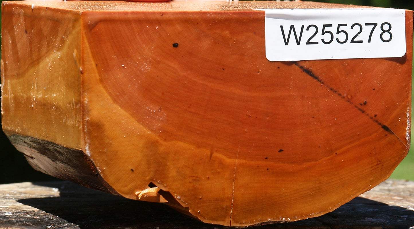 Oregon Ironwood Live Edge Bowl Blank