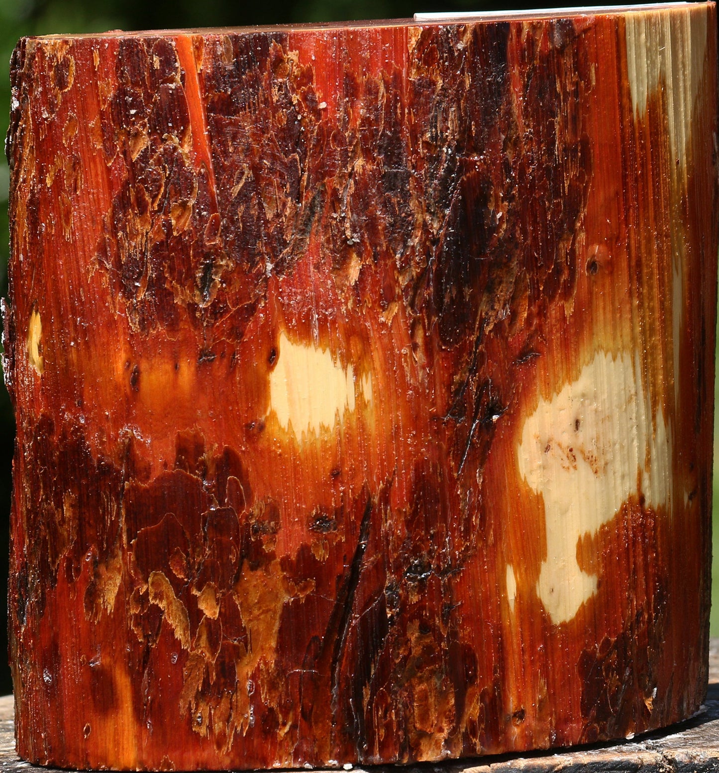 Oregon Ironwood Half Log