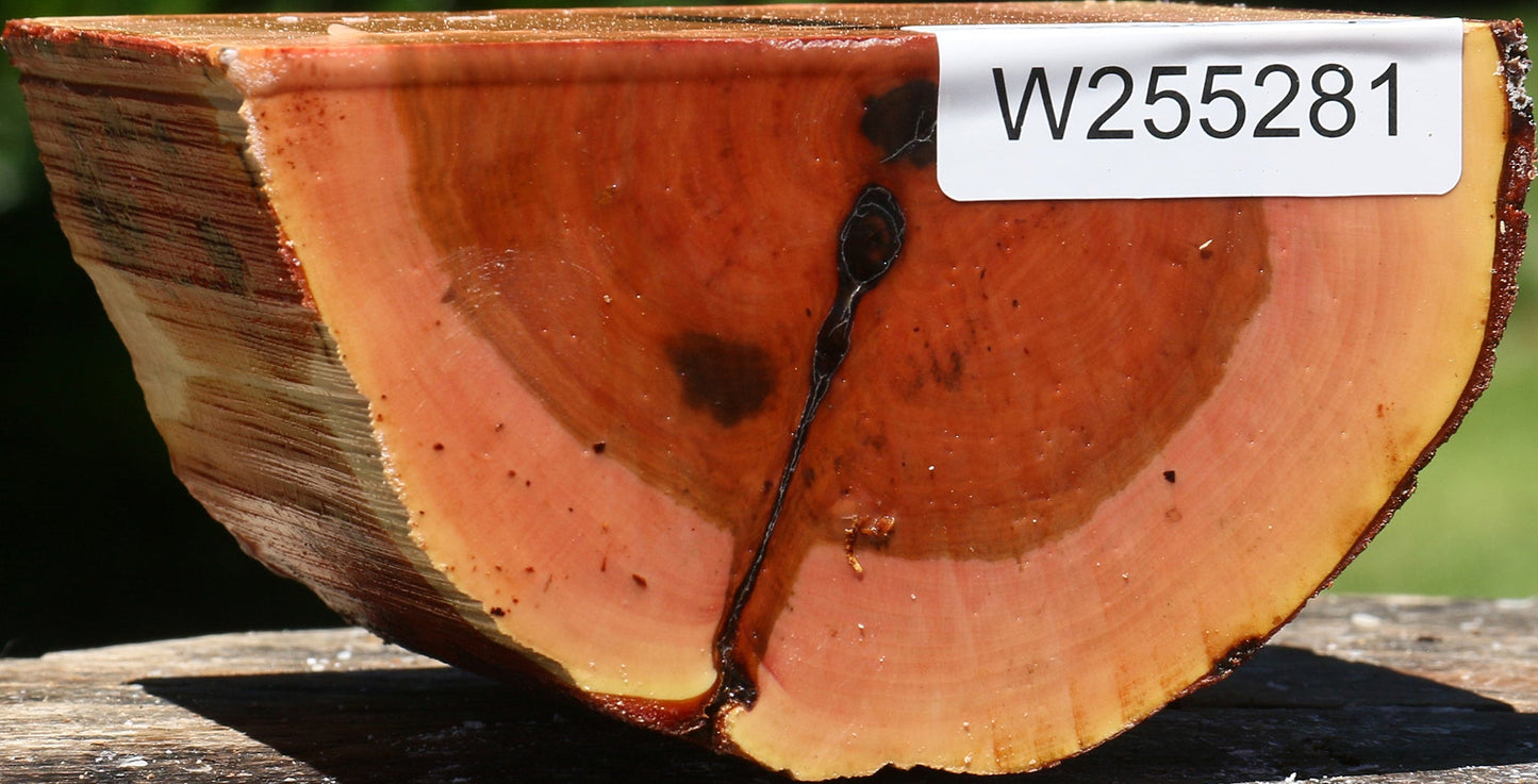 Oregon Ironwood Half Log