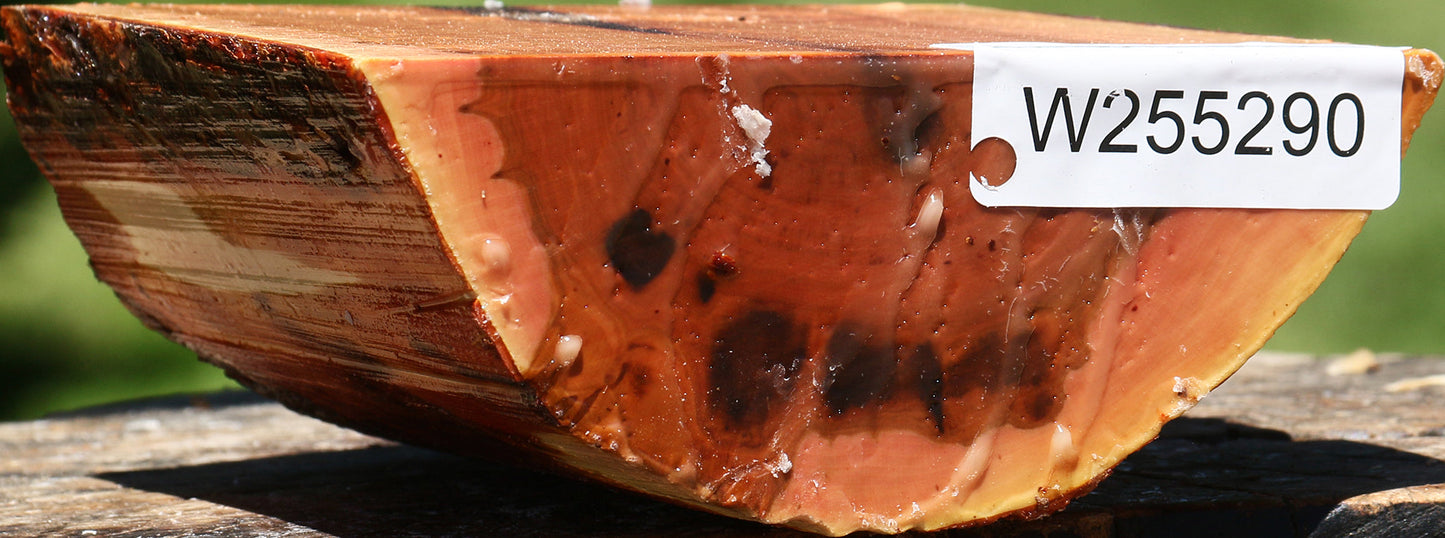 Rustic Oregon Ironwood Half Log