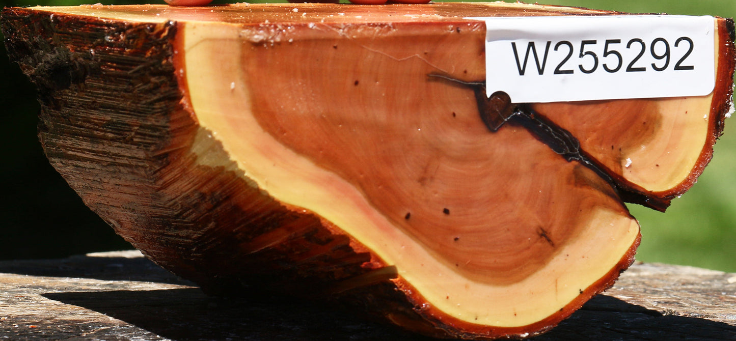 Oregon Ironwood Half Log