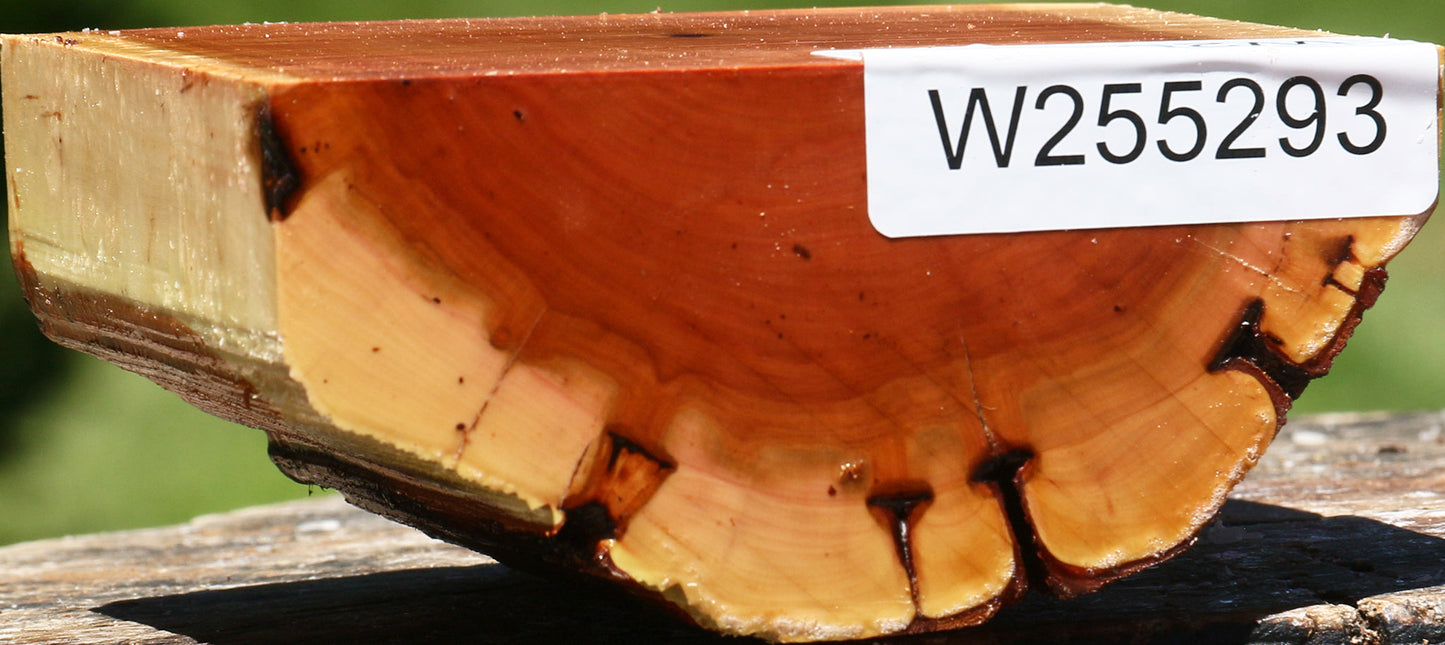 Oregon Ironwood Half Log