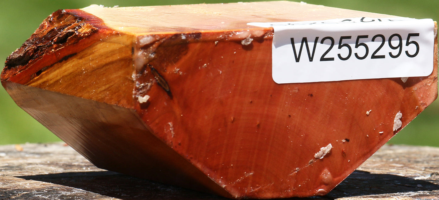 Oregon Ironwood Bowl Blank