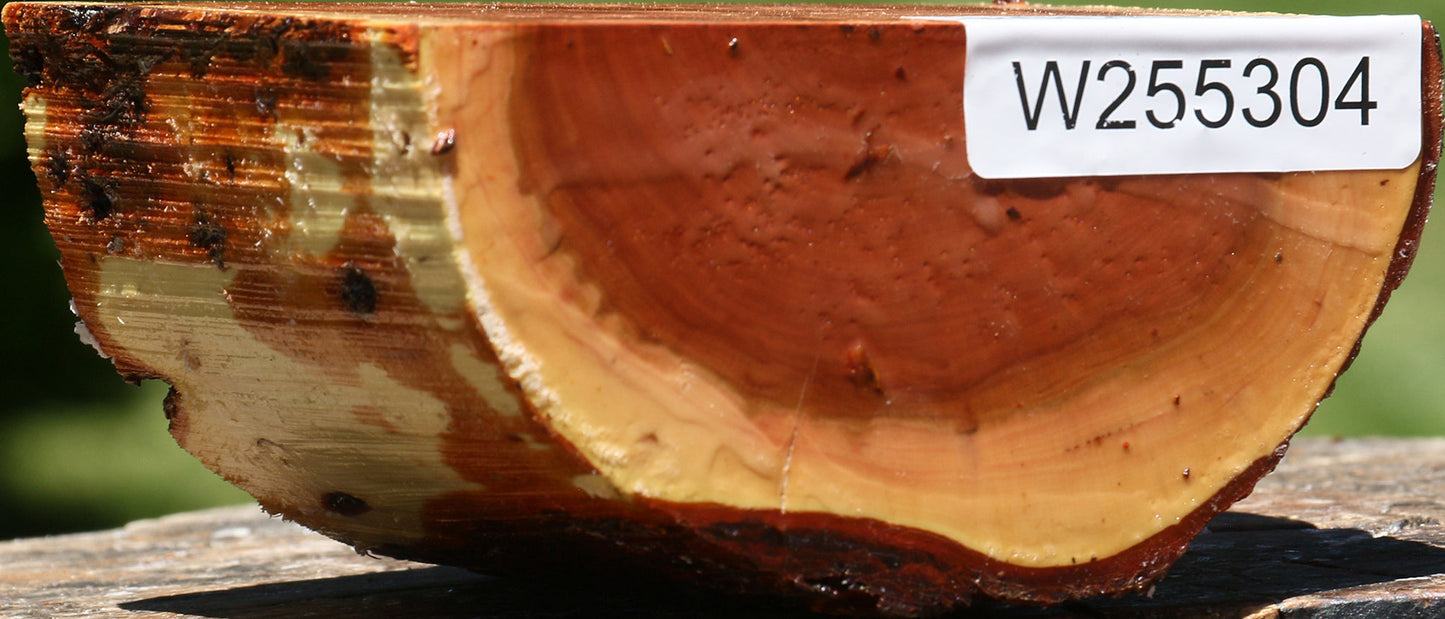 Oregon Ironwood Half Log