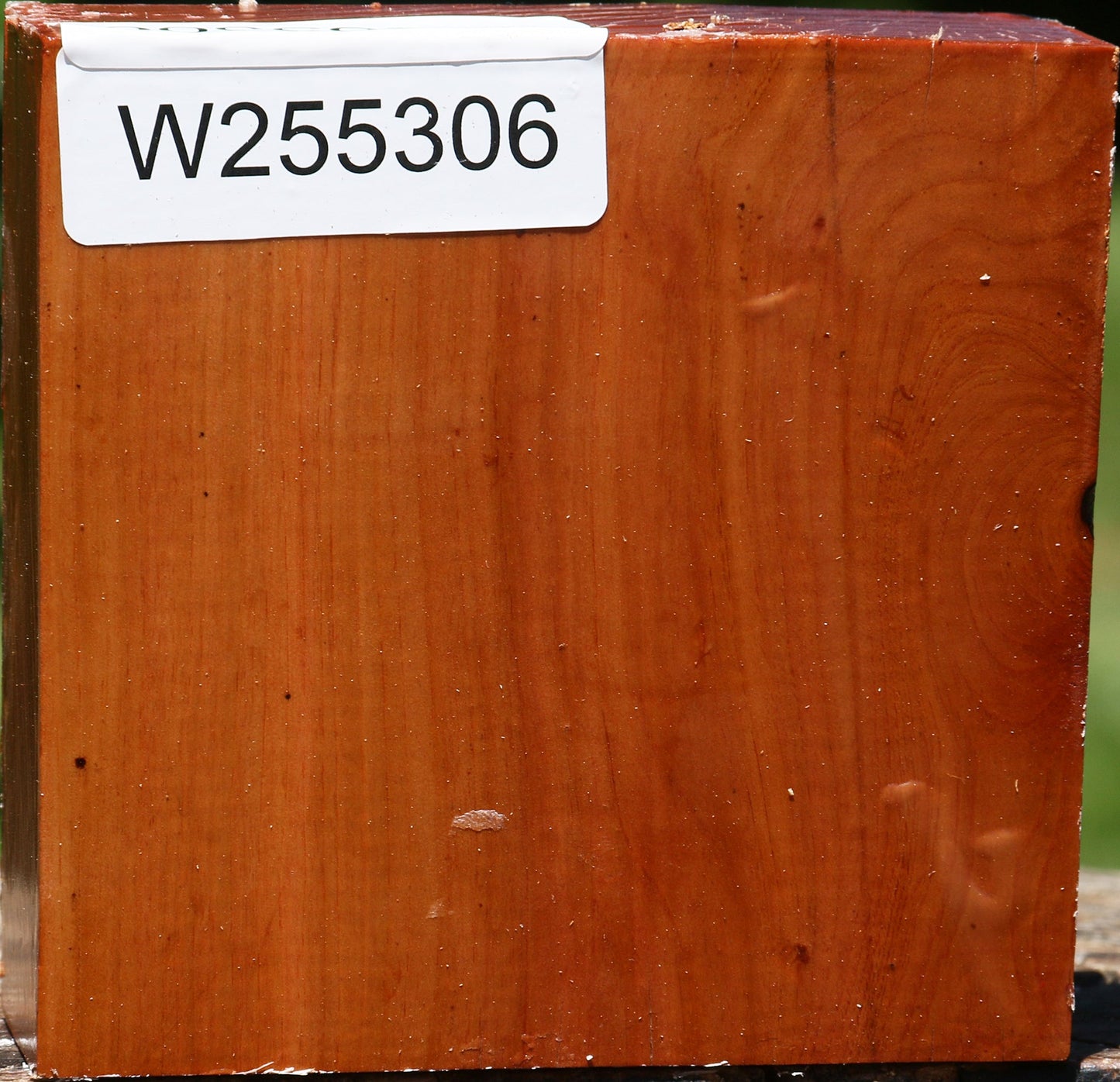 Oregon Ironwood Bowl Blank