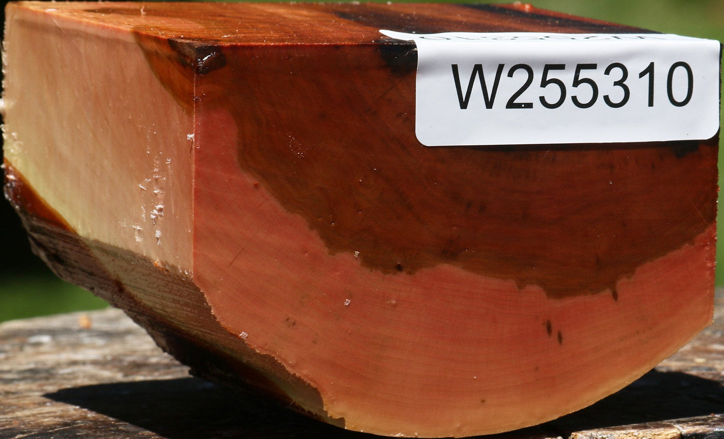 Oregon Ironwood Live Edge Bowl Blank