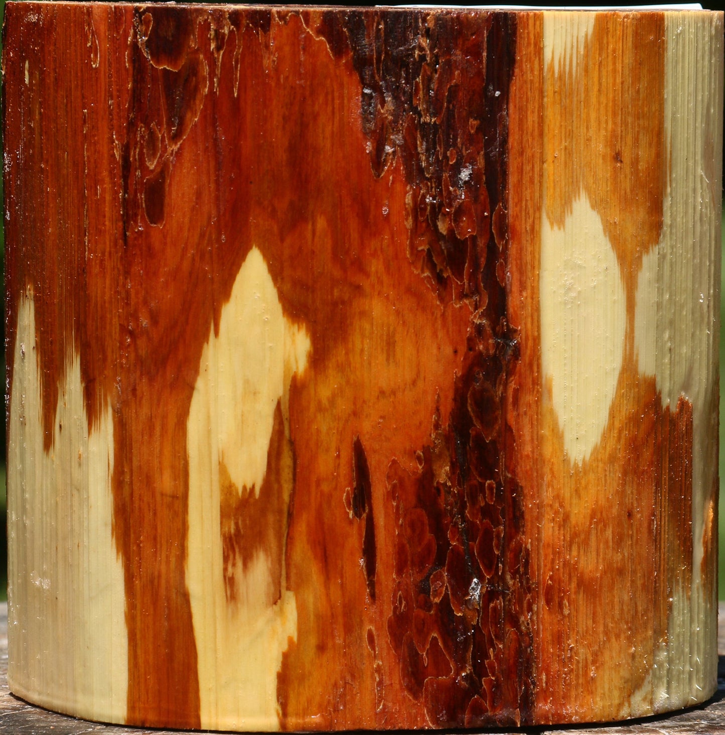 Oregon Ironwood Half Log