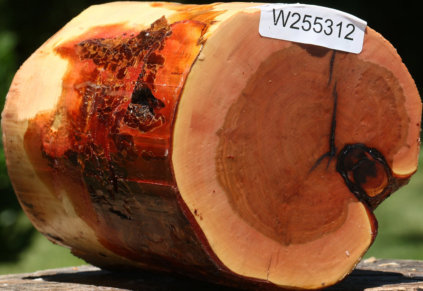 Rustic Oregon Ironwood Log