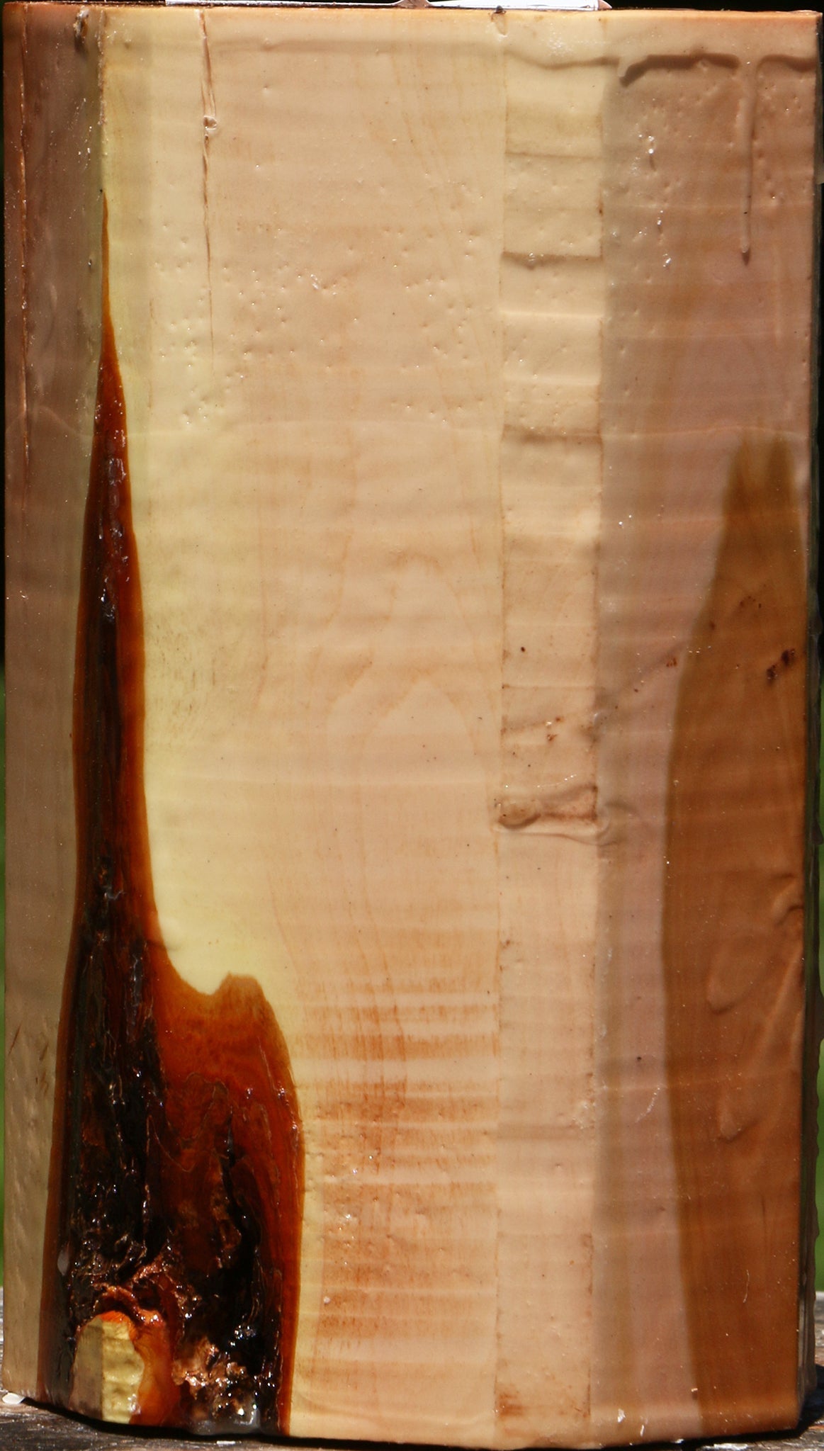 Oregon Ironwood Log