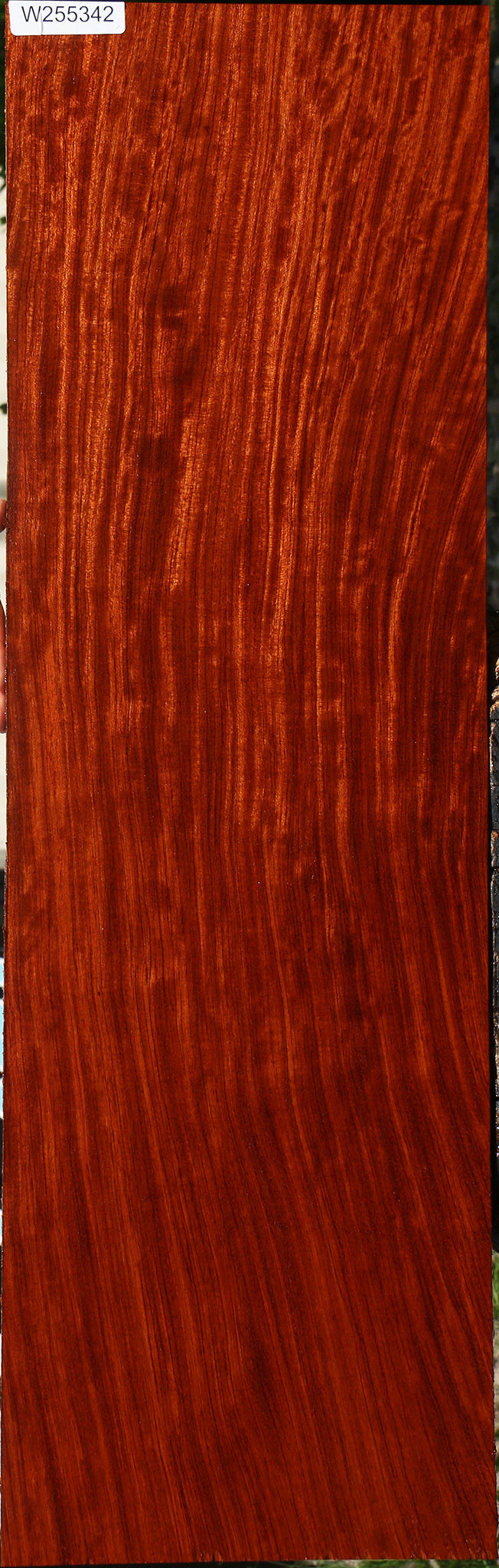 Bubinga Lumber