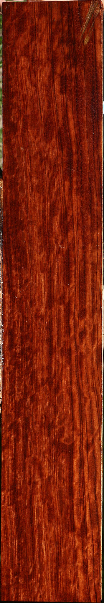 Bubinga Lumber