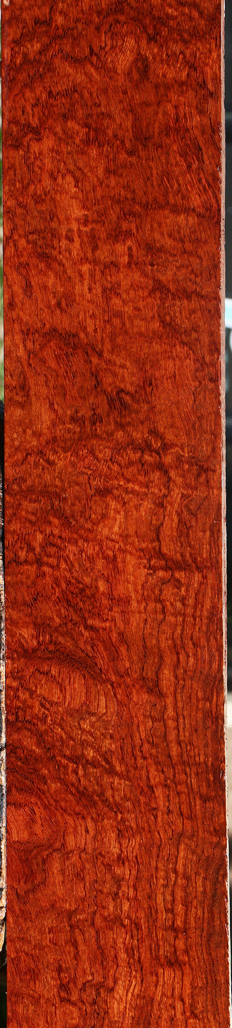 Extra Fancy Bubinga Lumber