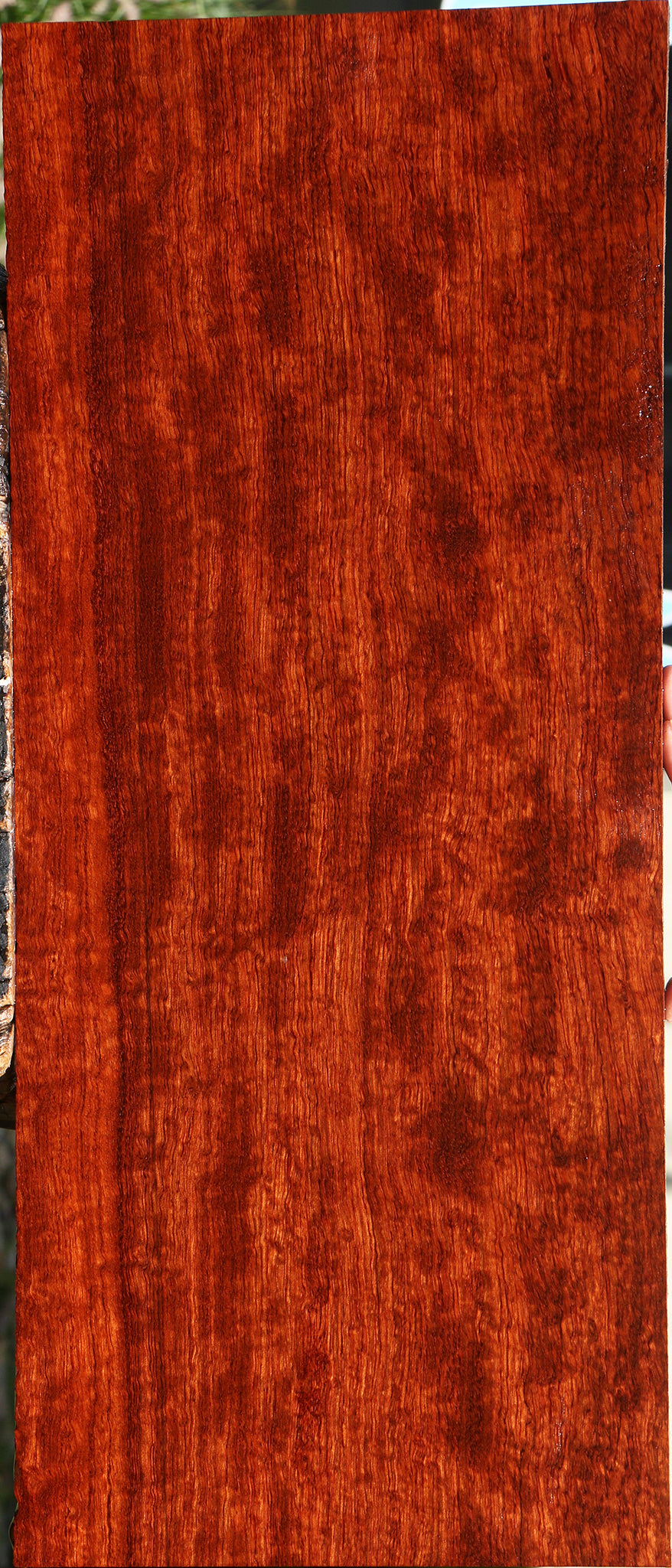 Extra Fancy Bubinga Lumber