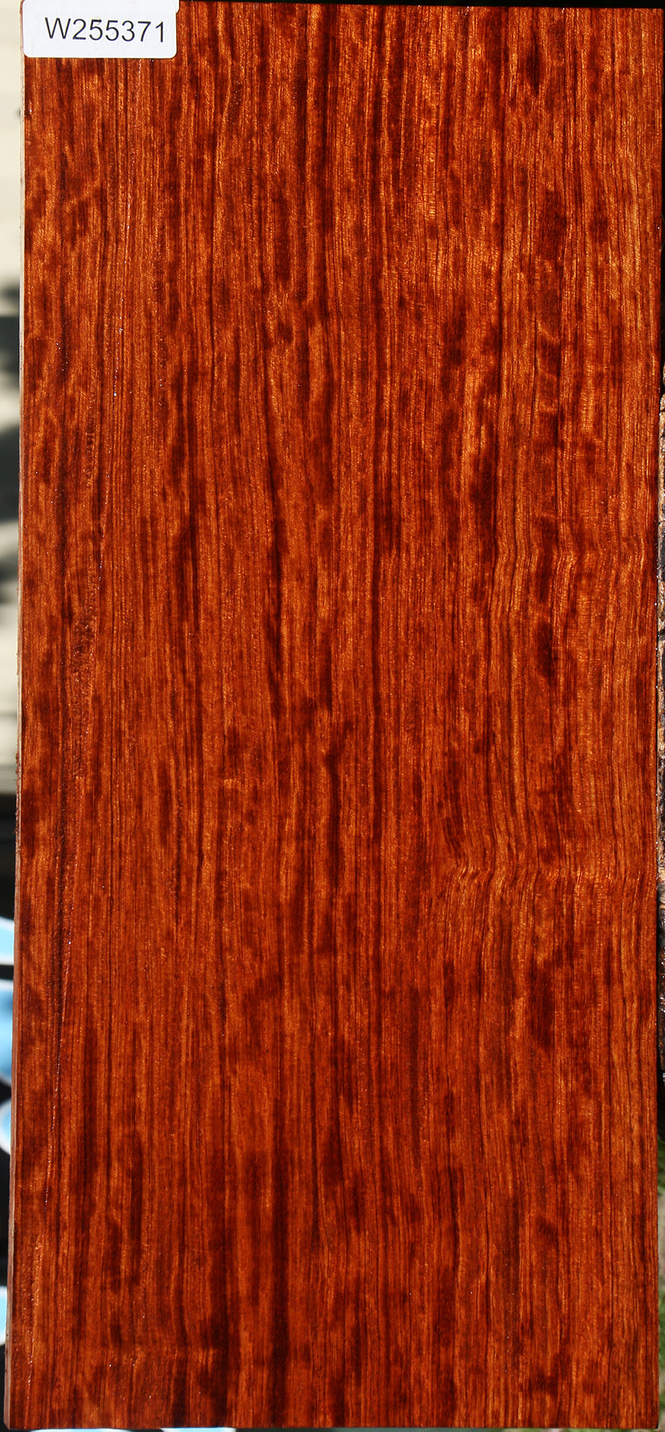 Extra Fancy Bubinga Electric Guitar Drop Top Billet
