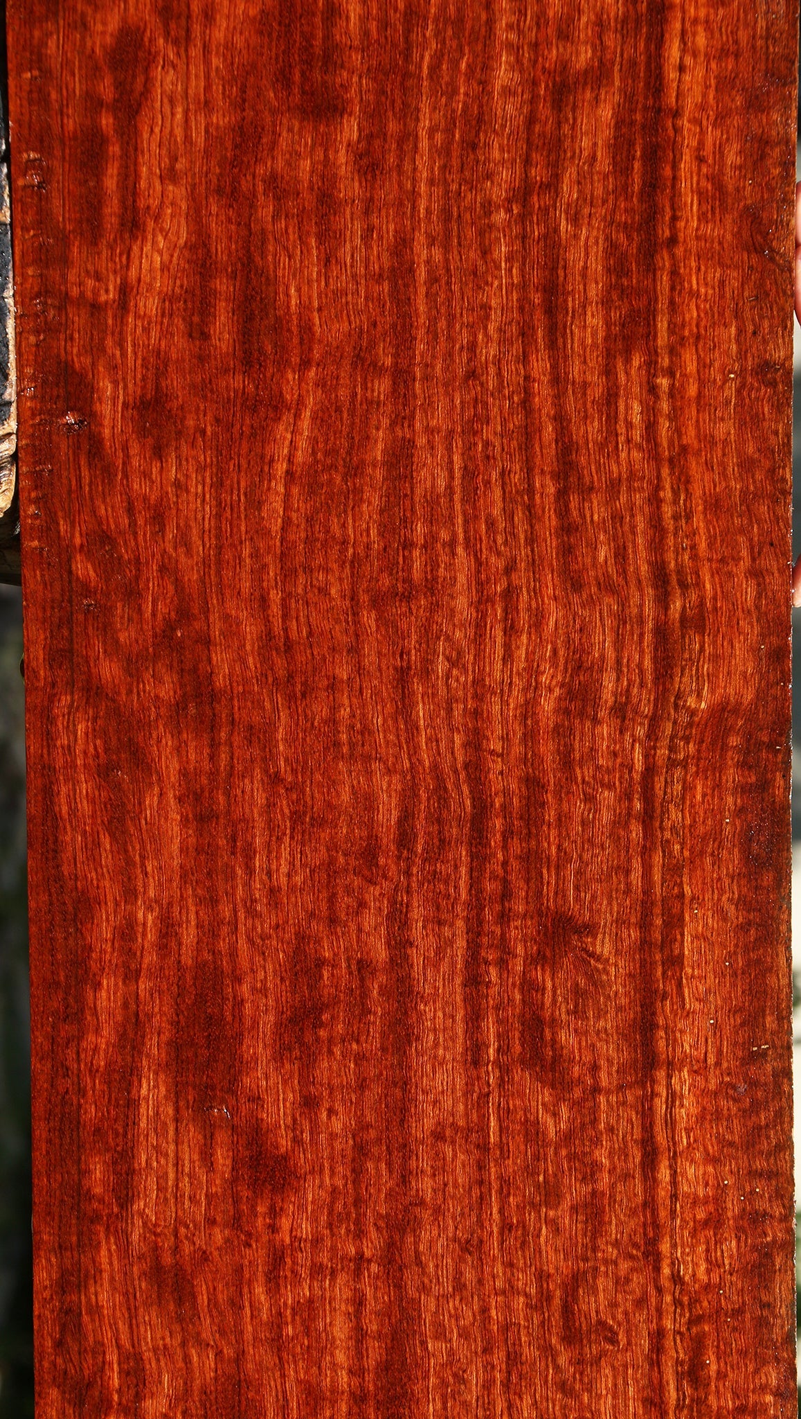 Extra Fancy Pomelle Bubinga Lumber