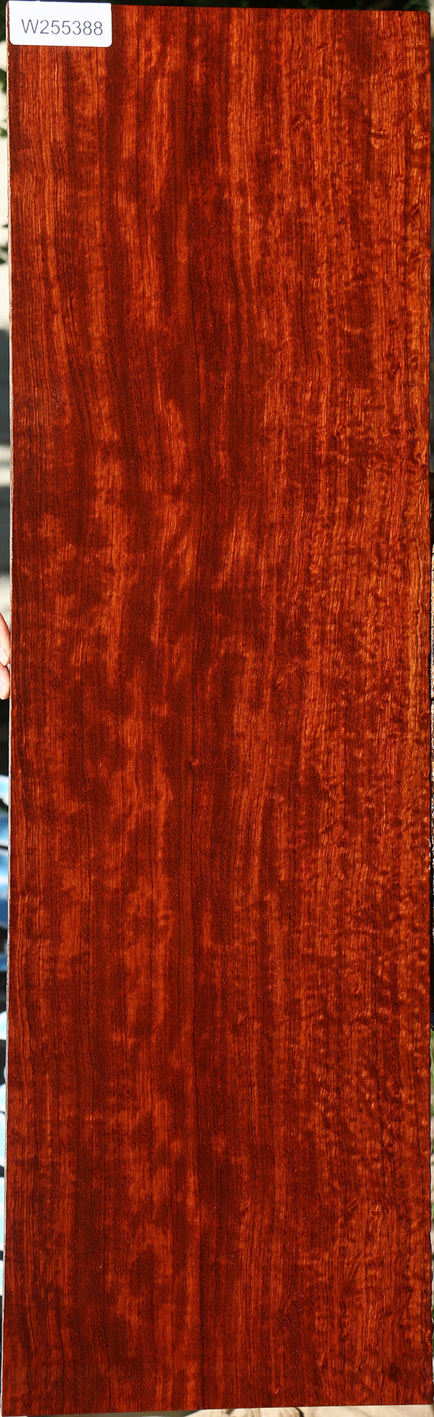 Extra Fancy Bubinga Lumber