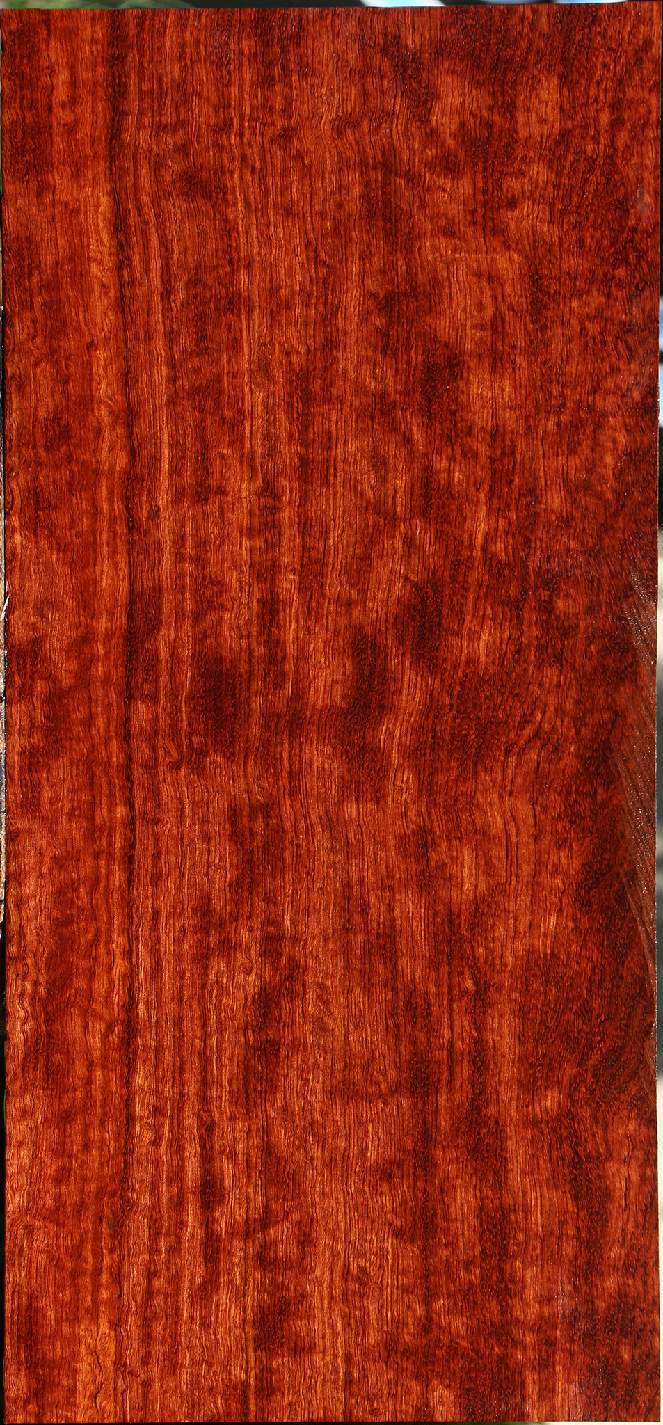 Extra Fancy Bubinga Electric Guitar Drop Top Billet