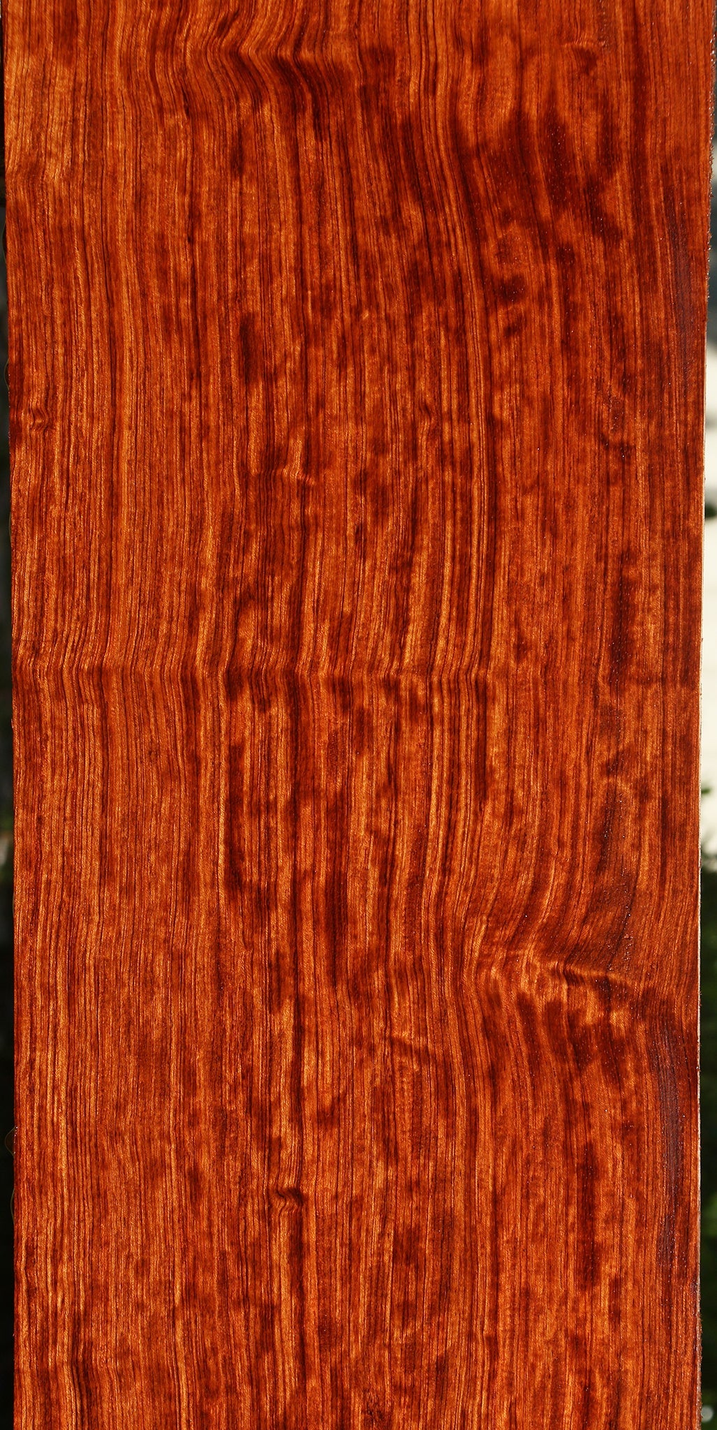 Extra Fancy Quartersawn Bubinga Lumber