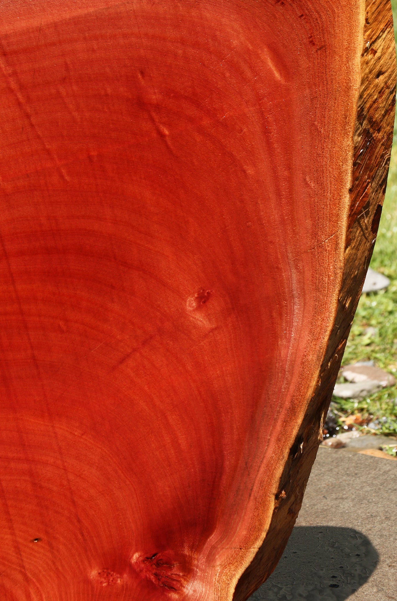 Peruvian Pepperwood Cookie