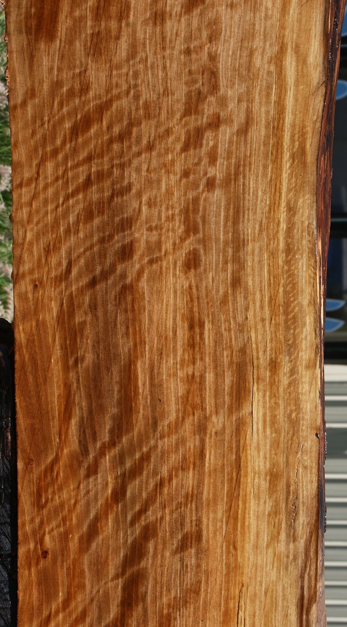 Extra Fancy Liquid Amber Live Edge Lumber