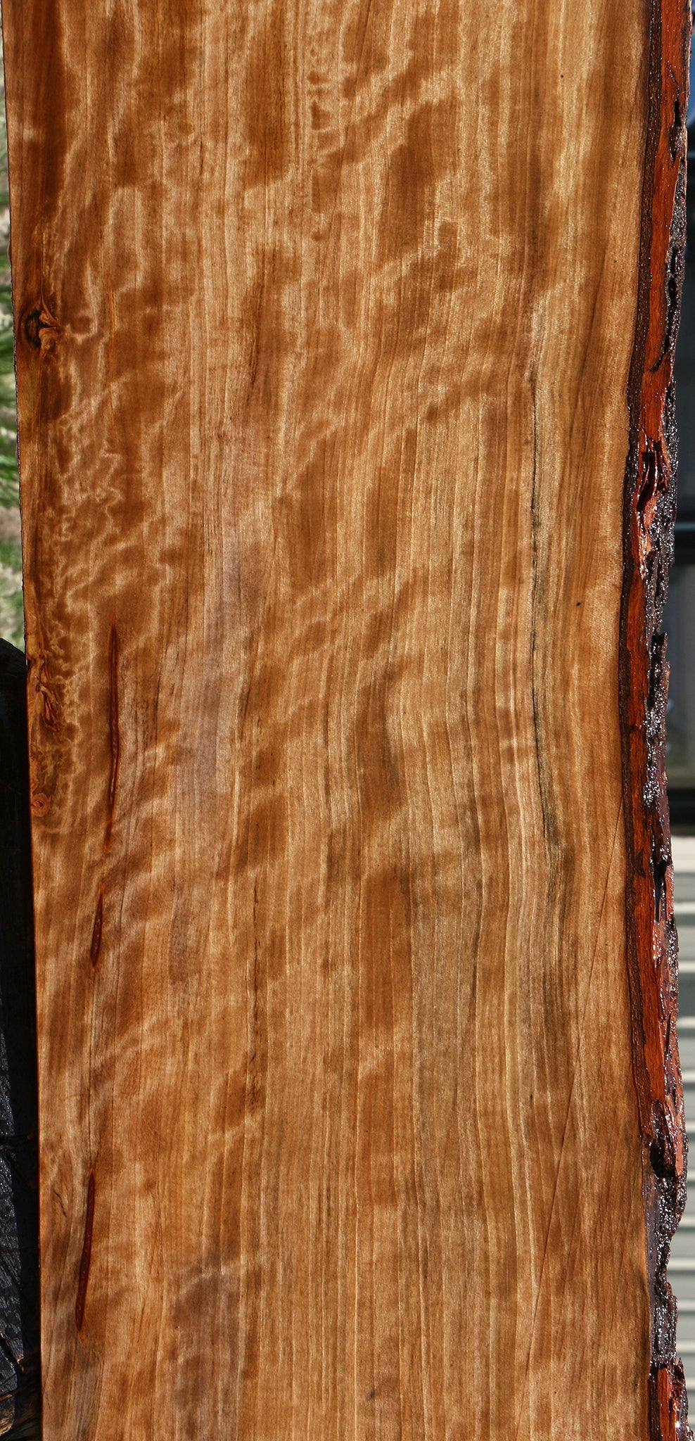 Extra Fancy Liquid Amber Live Edge Lumber