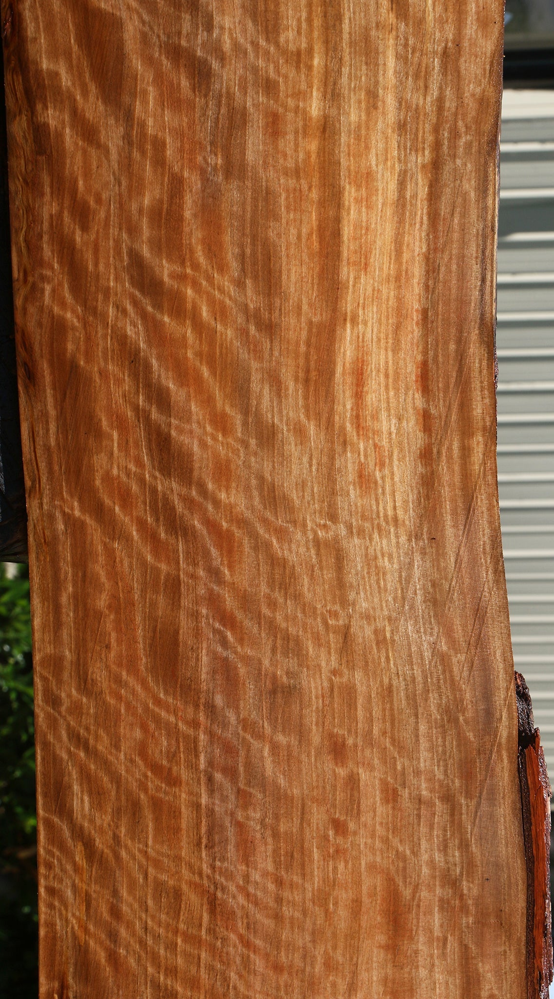 Extra Fancy Quartersawn Liquid Amber Live Edge Lumber