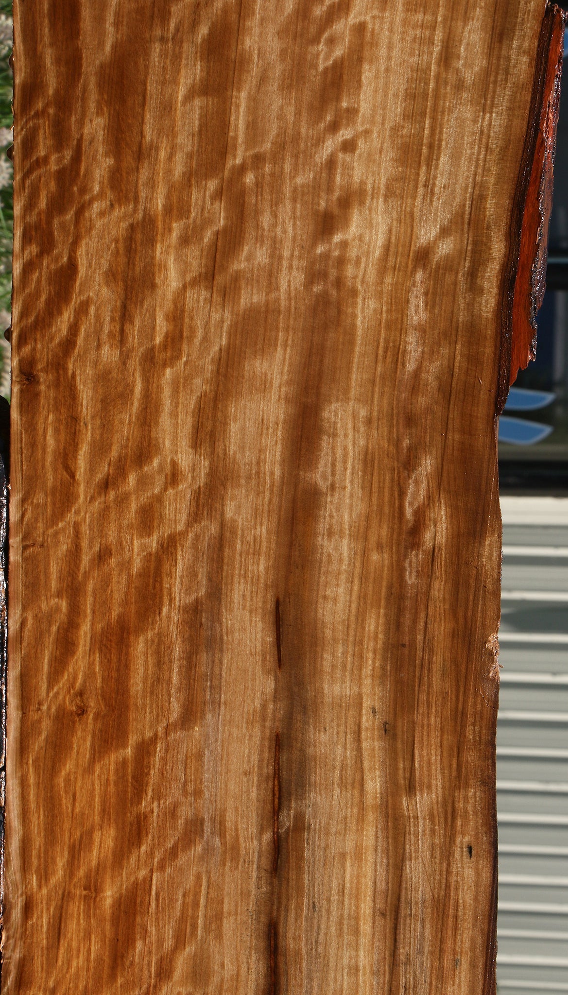 Extra Fancy Liquid Amber Live Edge Lumber