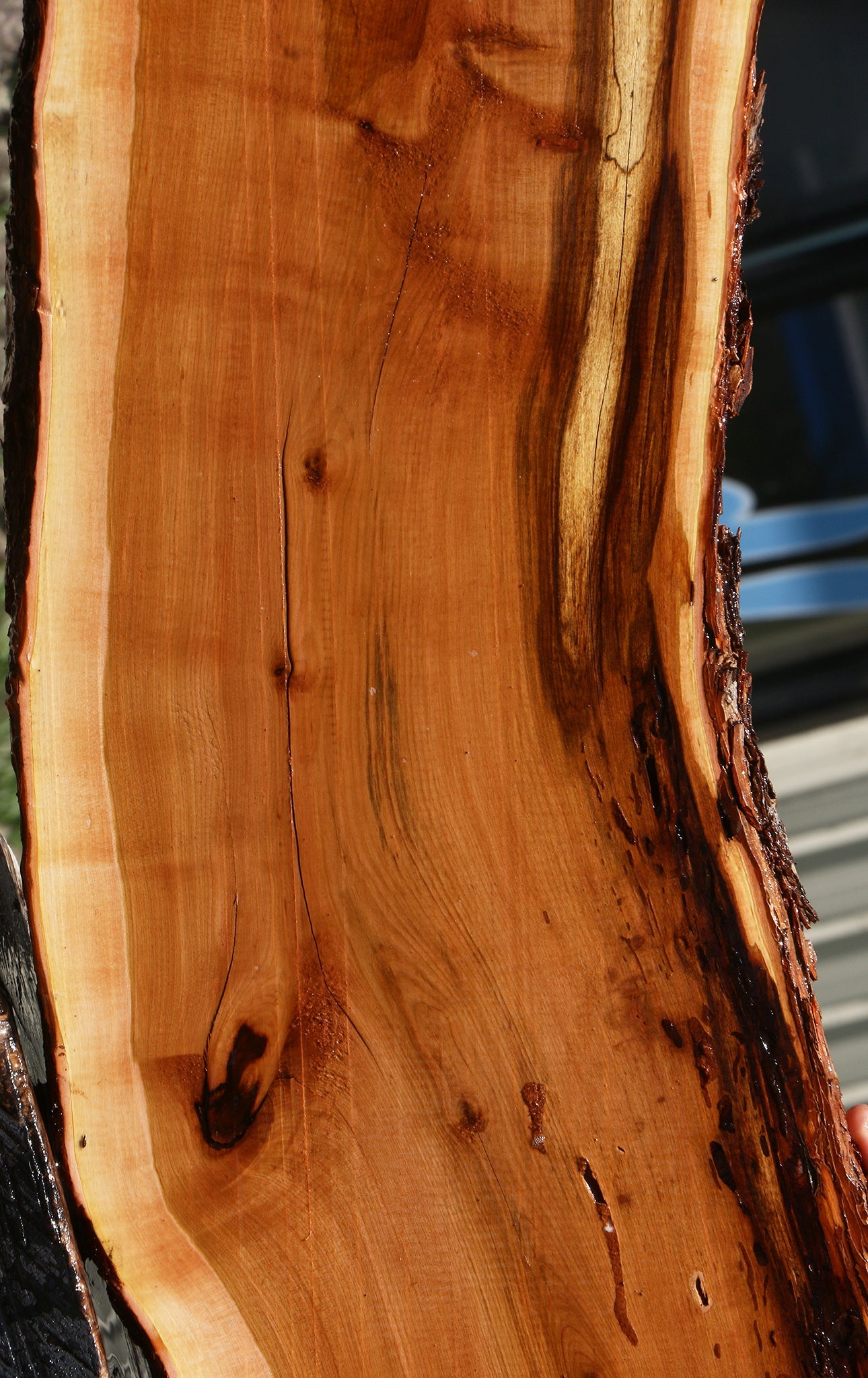 Oregon Ironwood Live Edge Lumber