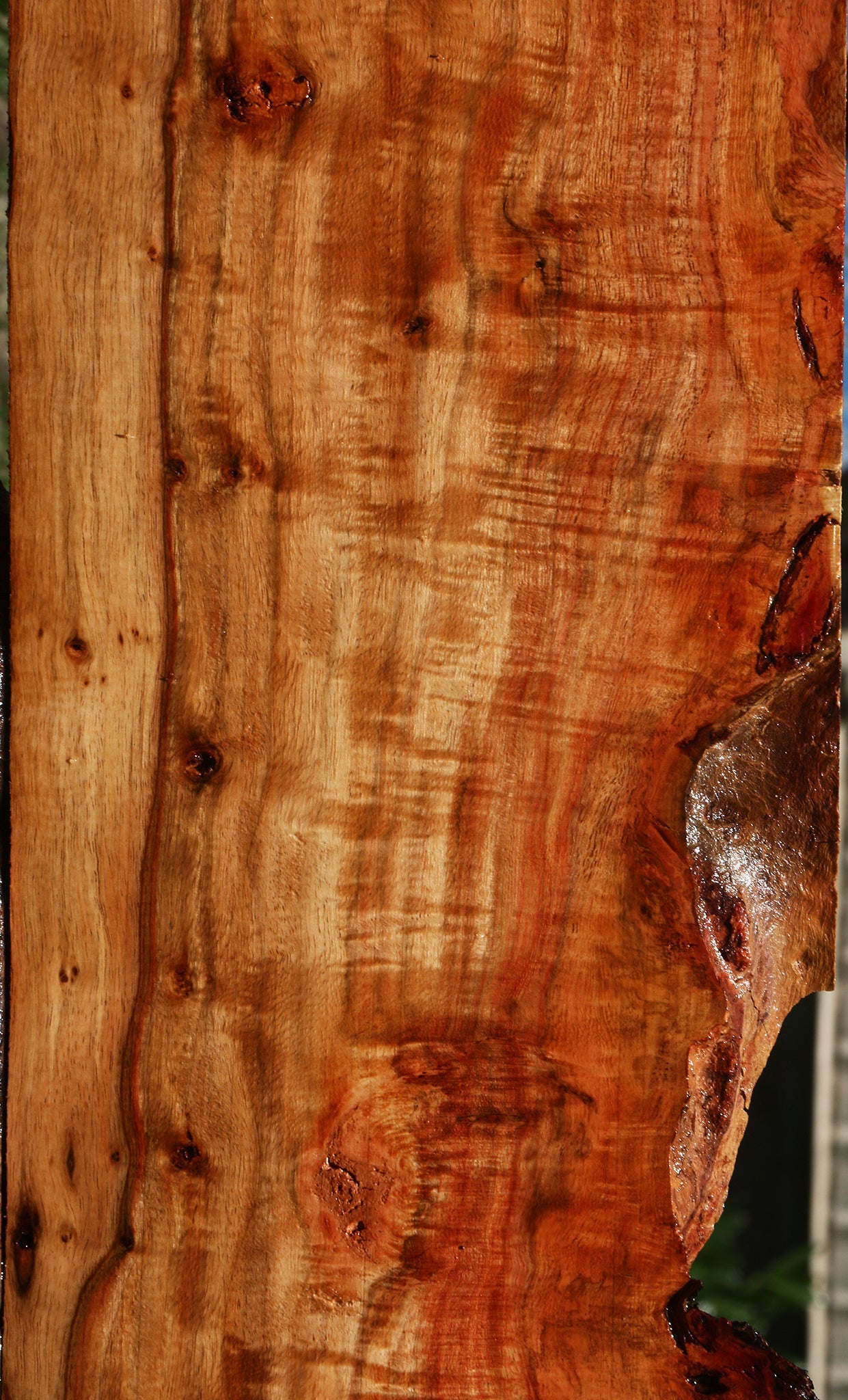 Extra Fancy Carob Live Edge Lumber