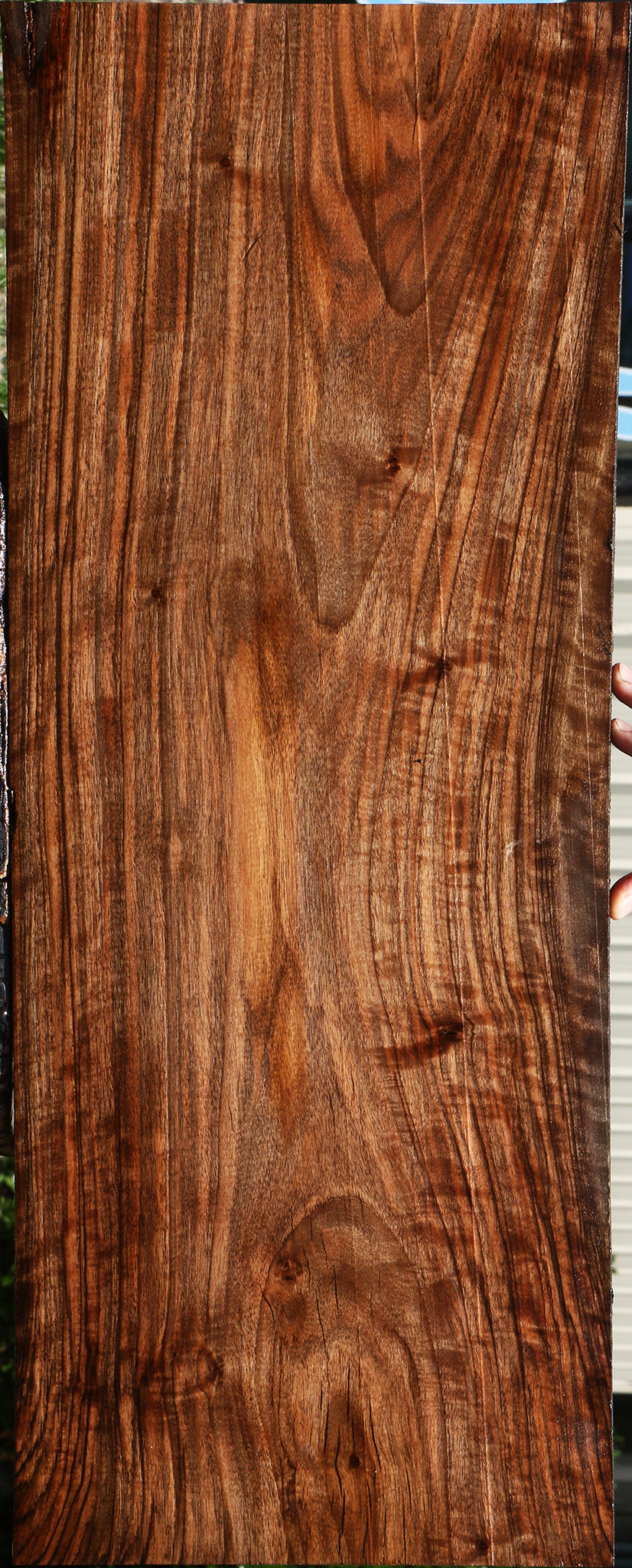 Bastogne Walnut Lumber